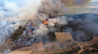 Yenişehir'deki Orman Yangınına Karşı Hummalı Mücadele