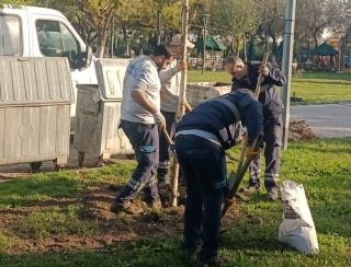 Yunusemre'de Yemyeşil Gelecek İçin Ağaçlandırma