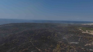 Yürek Dağlayan Edirne Orman Yangını