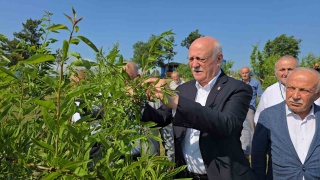 Zirai Dondan Etkilenen Meyve Bahçeleri ve Çiftçilerin Mücadelesi