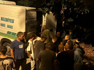 Zonguldak'ta Üzücü Olay: Cem Küçük’ün Babası Fındık Bahçesinde Ölü Bulundu